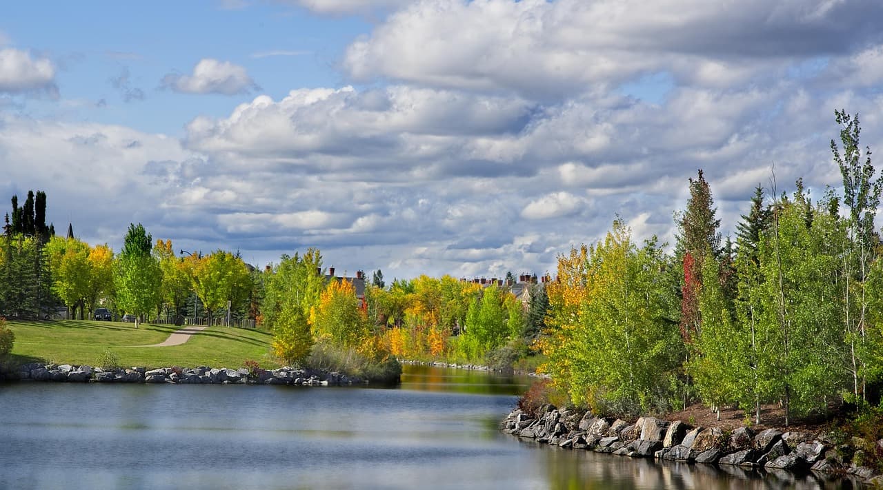 A stormwater pond in a Calgary residential neighbourhood in autumn, with rooftops among the yellowing trees