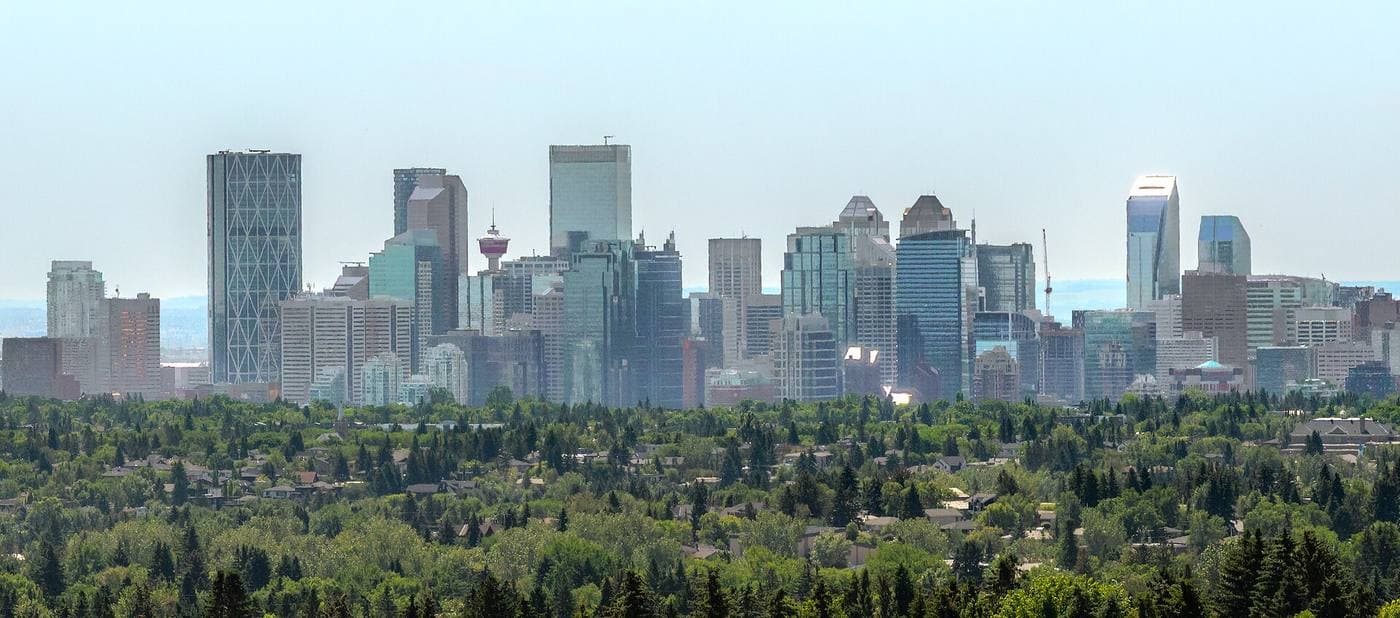 Downtown Calgary's towers and the Calgary Tower rise beyond a dense summer canopy of trees sheltering low-rise inner-city homes.