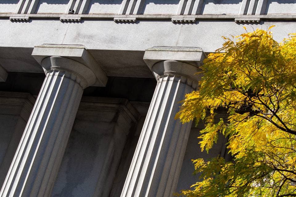 Sunlit fluted stone columns and carved entablature of a neoclassical institutional building beside a tree in bright yellow autumn foliage.