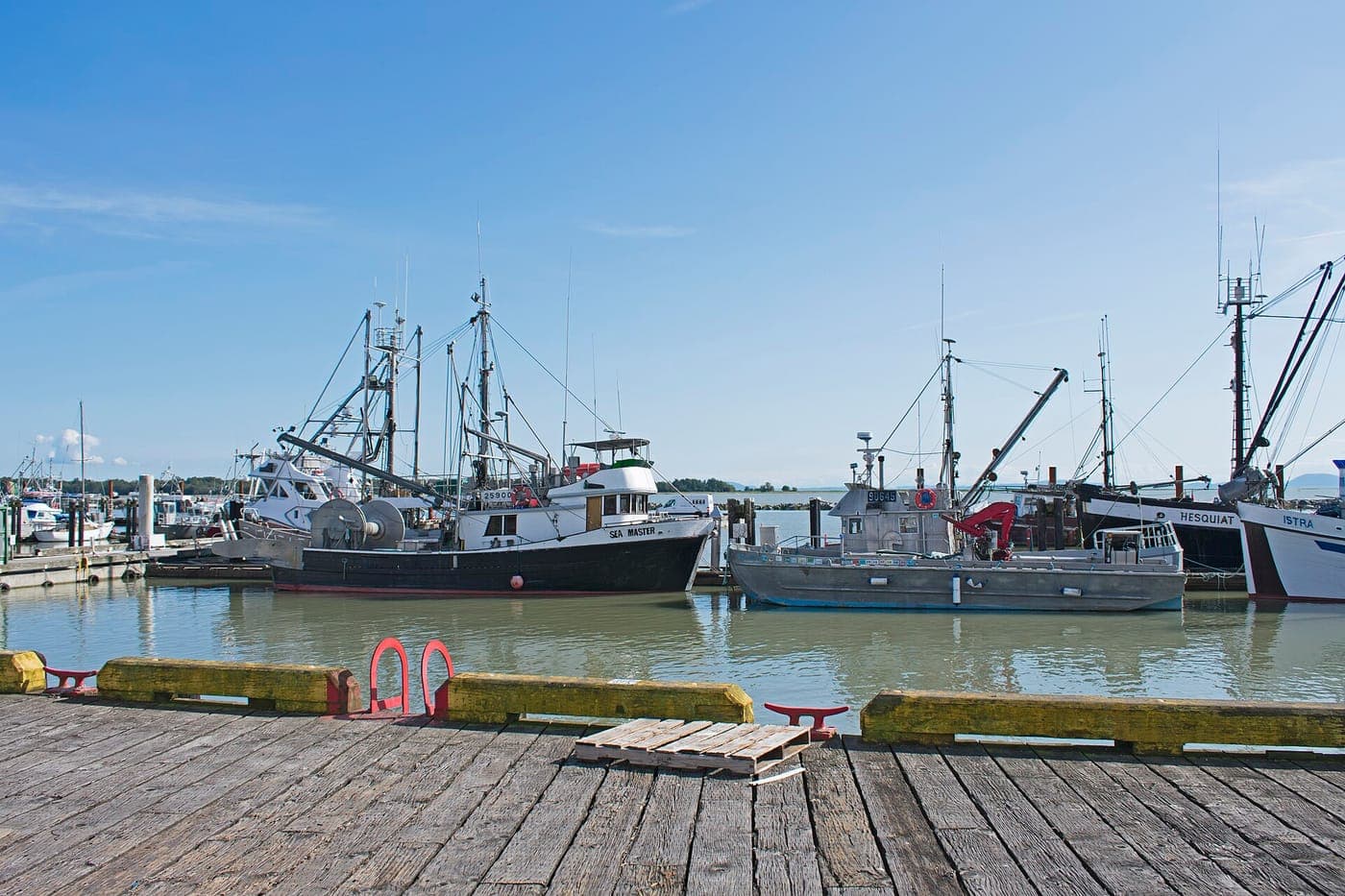 Commercial fishing boats moored along a calm river harbour, seen from a weathered wooden wharf with yellow-painted curbs, red bollards and a pallet under a clear blue sky