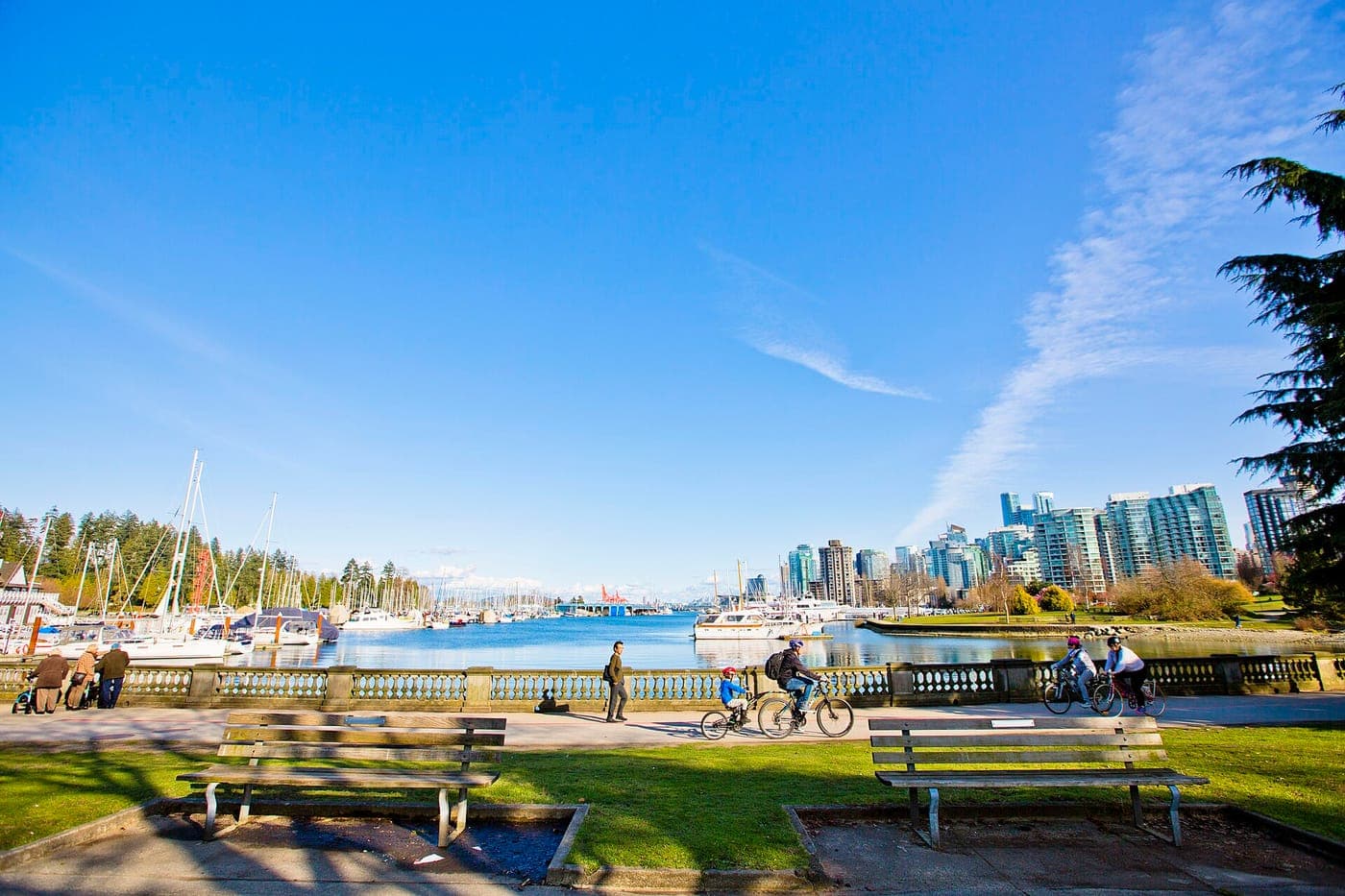 Park benches on a lawn beside a seawall path with cyclists, overlooking a marina of sailboats and the glass condo towers of Vancouver's Coal Harbour under a blue sky.