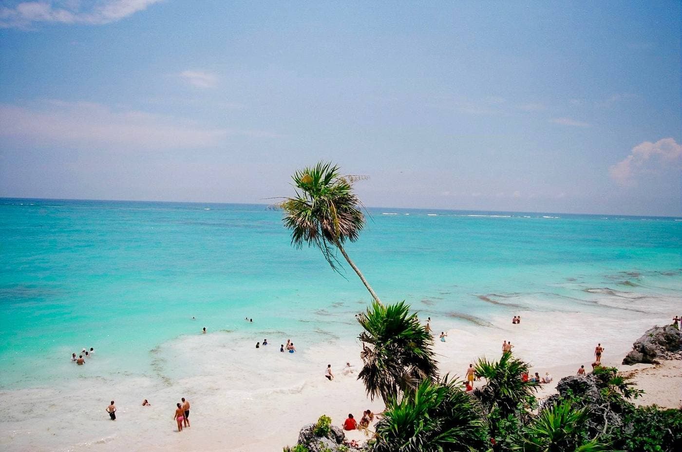 A leaning palm over Tulum's white-sand beach and clear turquoise water.