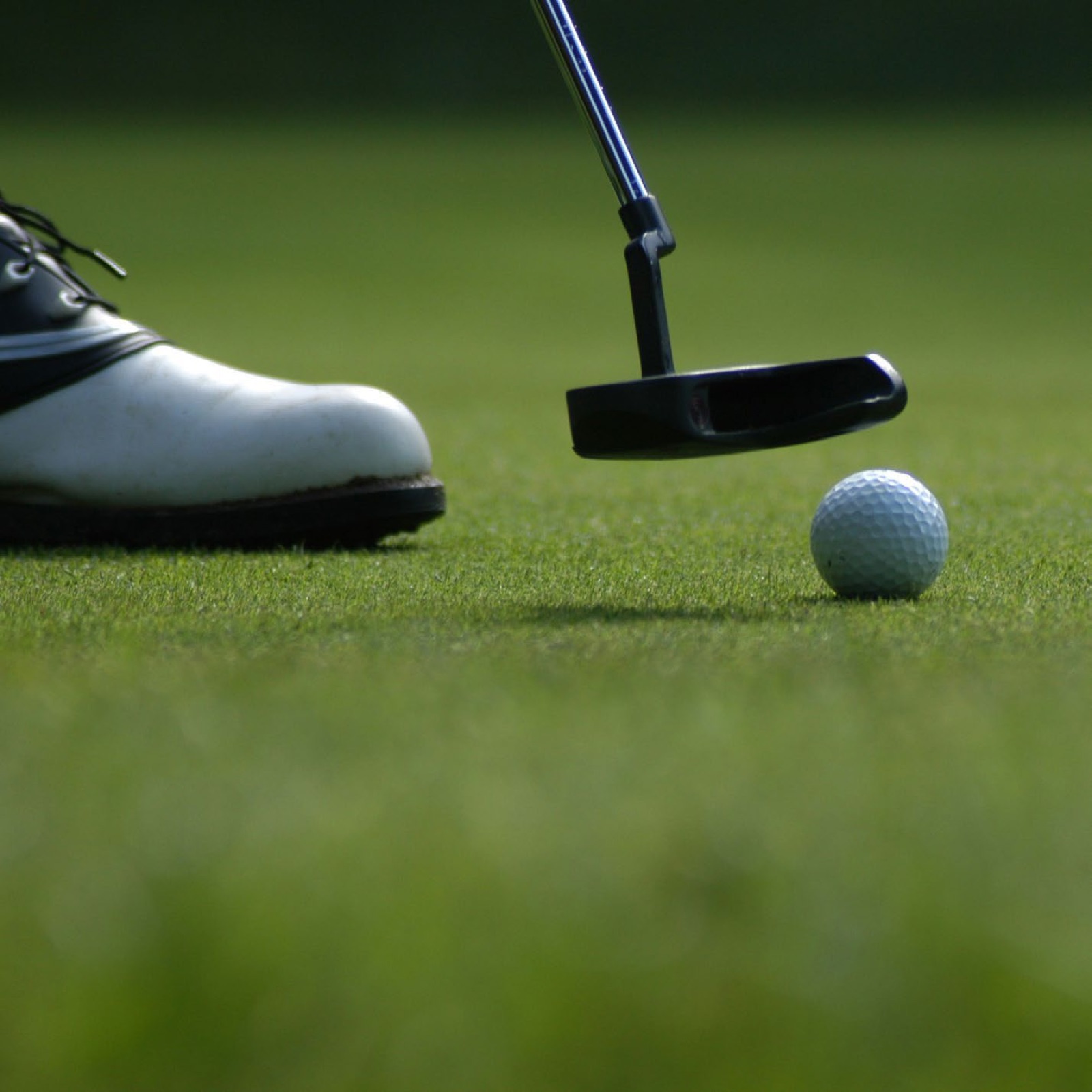 Putter and ball on the green — golf mood image (stock-style photo, 1427x1427 — brochure p8)