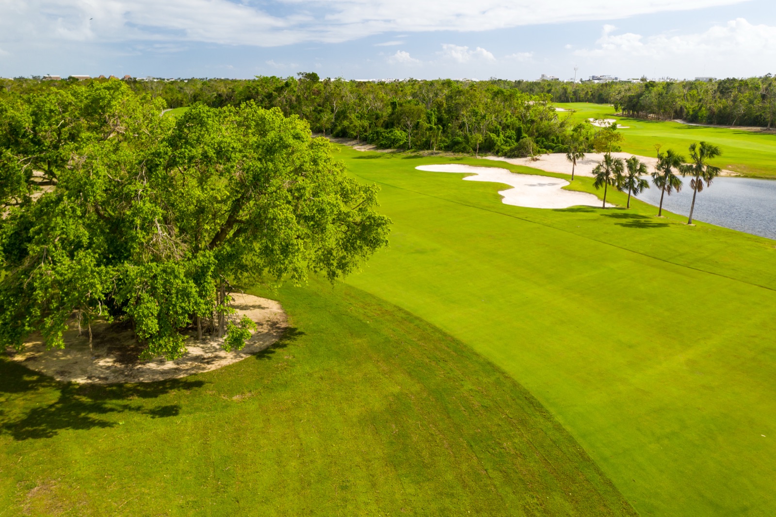 Aerial of a Gran Coyote fairway with bunkers, lake and palms (verified, 3500x2332)